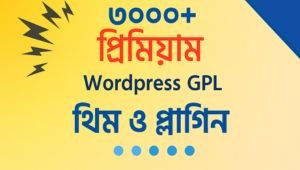 gpl themes and plugins