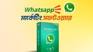 whatsapp marketing
