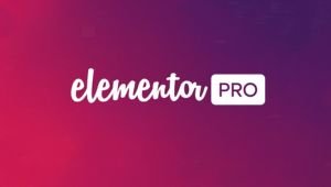 elementor pro plugin
